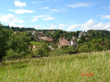 Apartamento de vacaciones en Freudenstadt (Schwarzwald)Casa de vacaciones