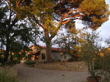 Apartamento de vacaciones en Castelnuovo Berardenga (Siena)Casa de vacaciones