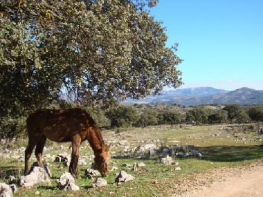Casa de vacaciones en Montefrio (Granada)Casa de vacaciones