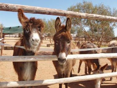 Casa de vacaciones en Montefrio (Granada)Casa de vacaciones