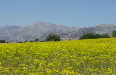 Casa de vacaciones en Ronda (M�laga)Casa de vacaciones