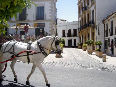Casa de vacaciones en Ronda (M�laga)Casa de vacaciones