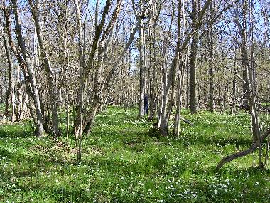 Casa de vacaciones en Harstena Gryt (�sterg�tland)Casa de vacaciones