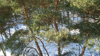 Apartamento de vacaciones en Swinoujscie (Zachodniopomorskie)Casa de vacaciones