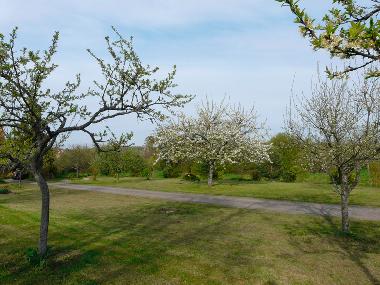 Casa de vacaciones en NIEDERHASLACH (Bas-Rhin)Casa de vacaciones