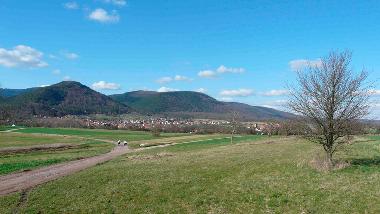Casa de vacaciones en NIEDERHASLACH (Bas-Rhin)Casa de vacaciones
