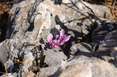 Casa de vacaciones en Kotronas (Lakonia)Casa de vacaciones