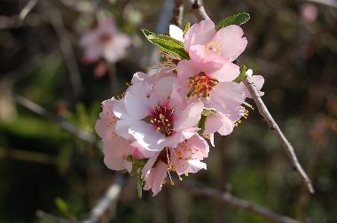 Casa de vacaciones en Kotronas (Lakonia)Casa de vacaciones