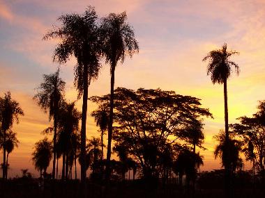 Apartamento de vacaciones en J.A Saldivar (Asuncion)Casa de vacaciones