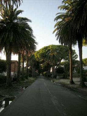 Casa de vacaciones en Marina di Castagneto (Livorno)Casa de vacaciones