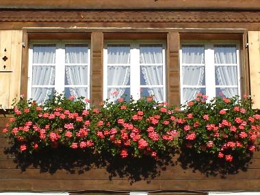 Apartamento de vacaciones en Burglauenen (Grindelwald - Jungfrau)Casa de vacaciones