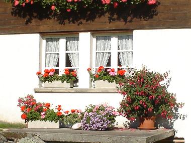 Apartamento de vacaciones en Burglauenen (Grindelwald - Jungfrau)Casa de vacaciones