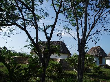 El jardin