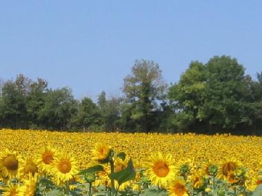 Casa de vacaciones en Civrac (Charente-Maritime)Casa de vacaciones
