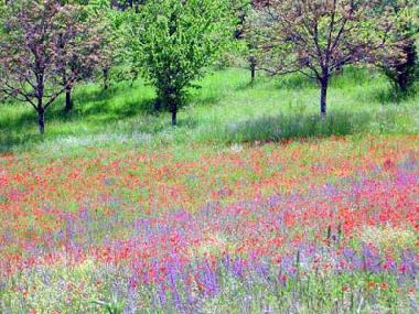 Casa de vacaciones en Cenac et St Julien (Dordogne)Casa de vacaciones