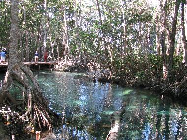 Hotel en Celestun (Yucatan)Casa de vacaciones