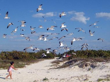 Hotel en Celestun (Yucatan)Casa de vacaciones