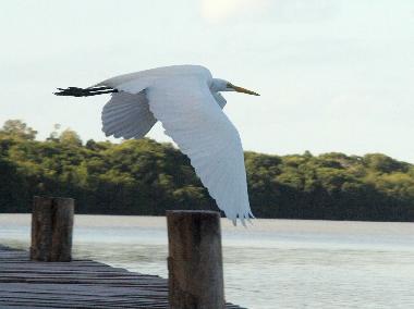 Hotel en Celestun (Yucatan)Casa de vacaciones