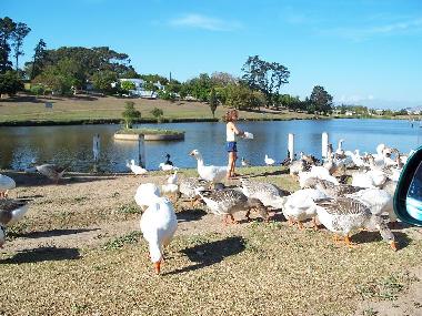 Apartamento de vacaciones en Durbanville (Western Cape)Casa de vacaciones