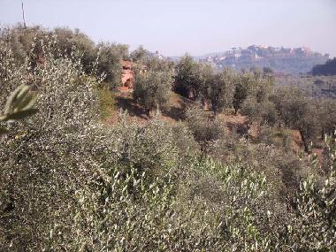 Casa de vacaciones en Montecatini Terme (Pistoia)Casa de vacaciones