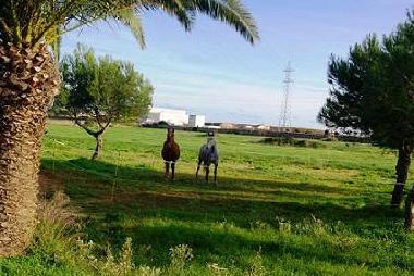 Casa de vacaciones en ciutadella De menorca (Menorca)Casa de vacaciones