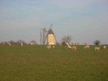 Casa de vacaciones en St Cyr Des Gats (Vend�e)Casa de vacaciones