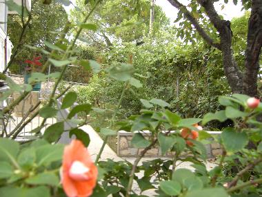 Apartamento de vacaciones en Vantacici (Primorsko-Goranska)Casa de vacaciones