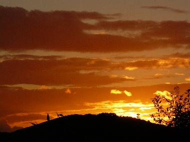 Casa de vacaciones en cheddar (South West)Casa de vacaciones