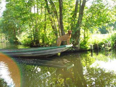 Casa de vacaciones en L�bbenau (Oberspreewald-Lausitz)Casa de vacaciones