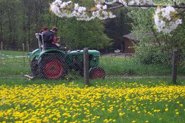 Apartamento de vacaciones en Tann(Rhn) (Rhn)Casa de vacaciones