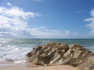 Apartamento de vacaciones en 8200 - Albufeira (Algarve)Casa de vacaciones