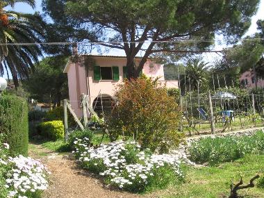 Casa de vacaciones en Procchio (Livorno)Casa de vacaciones