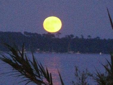 Apartamento de vacaciones en Cannes (Alpes-Maritimes)Casa de vacaciones