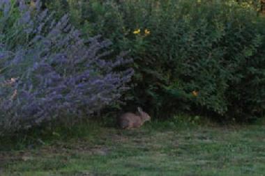 Apartamento de vacaciones en Fucecchio - Torre (Firenze)Casa de vacaciones