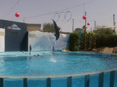 Apartamento de vacaciones en Armacao de Pera (Algarve)Casa de vacaciones