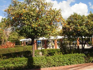 Casa de vacaciones en Nerja (M�laga)Casa de vacaciones