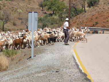 Apartamento de vacaciones en Nerja (M�laga)Casa de vacaciones