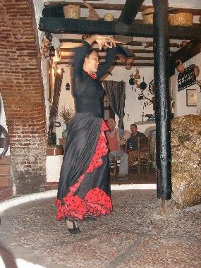 Apartamento de vacaciones en Nerja (M�laga)Casa de vacaciones