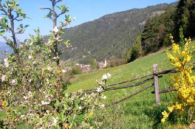 Apartamento de vacaciones en St.Sigmund Kiens (Bolzano-Bozen)Casa de vacaciones