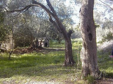 Apartamento de vacaciones en Olbia (Sassari)Casa de vacaciones