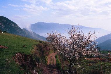 Casa de vacaciones en Bubion (Granada)Casa de vacaciones