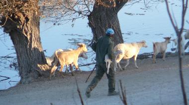 Cama y desayuno en CASTRIL de la Pena (Granada)Casa de vacaciones