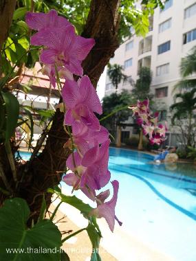 Apartamento de vacaciones en Hua Hin (Prachuap Khiri Khan)Casa de vacaciones