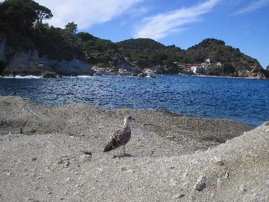 Casa de vacaciones en S. Andrea (Livorno)Casa de vacaciones