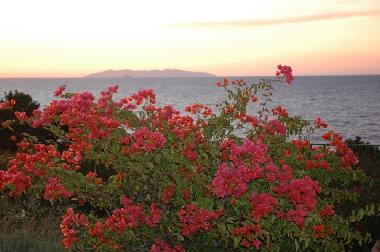 Casa de vacaciones en S. Andrea (Livorno)Casa de vacaciones