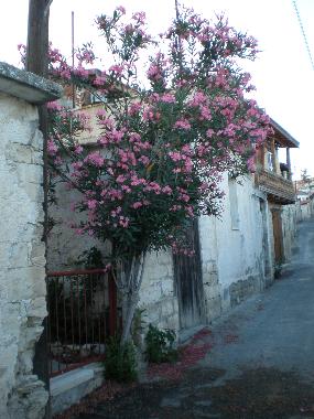 Casa de vacaciones en Vouni (Limassol)Casa de vacaciones