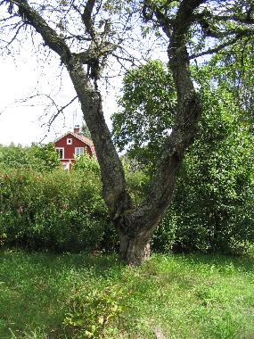 Casa de vacaciones en Ruda (Smaland)Casa de vacaciones