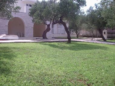 Apartamento de vacaciones en Janjina (Dubrovacko-Neretvanska)Casa de vacaciones
