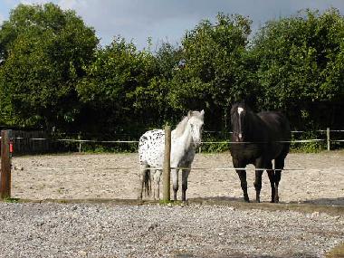 Apartamento de vacaciones en Hombourg (Wallonia)Casa de vacaciones