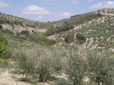 Casa de vacaciones en Ribera Baja, Ja�n (Ja�n)Casa de vacaciones